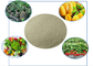 Organische Düngemittel, die Aminosäuren enthalten, Chelatkalzium und Bor in Pflanzennahrung