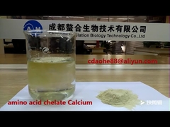 Bio-organisches, Aminosäure-Peptid-chelatisiertes Kalium fördert das Wachstum