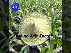 Pflanzliche Hydrolysaate, die reich an Peptiden und Aminosäuren sind, mit enzymatischem und Fermentationsverfahren