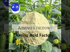 Fischproteinhydrolysate für Pflanzen Biostimulanz und Wachstumsförderer mit NPK 15-1-1