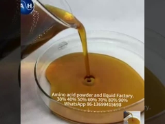 Organic Molybdän Aminosäure Chelatierte Mineralien Pflanzenwachstum stimulieren