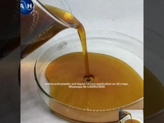 Aminosäure-Chelatiertes Kalium für die Fruchtfarbe