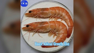 Cheliertes Magnesium