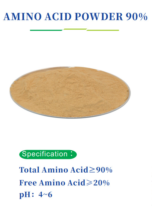 Jüngste Firmenblogs über NEW COMING/ Aminosäurenpulver 90% ohne Hydroxyprolin