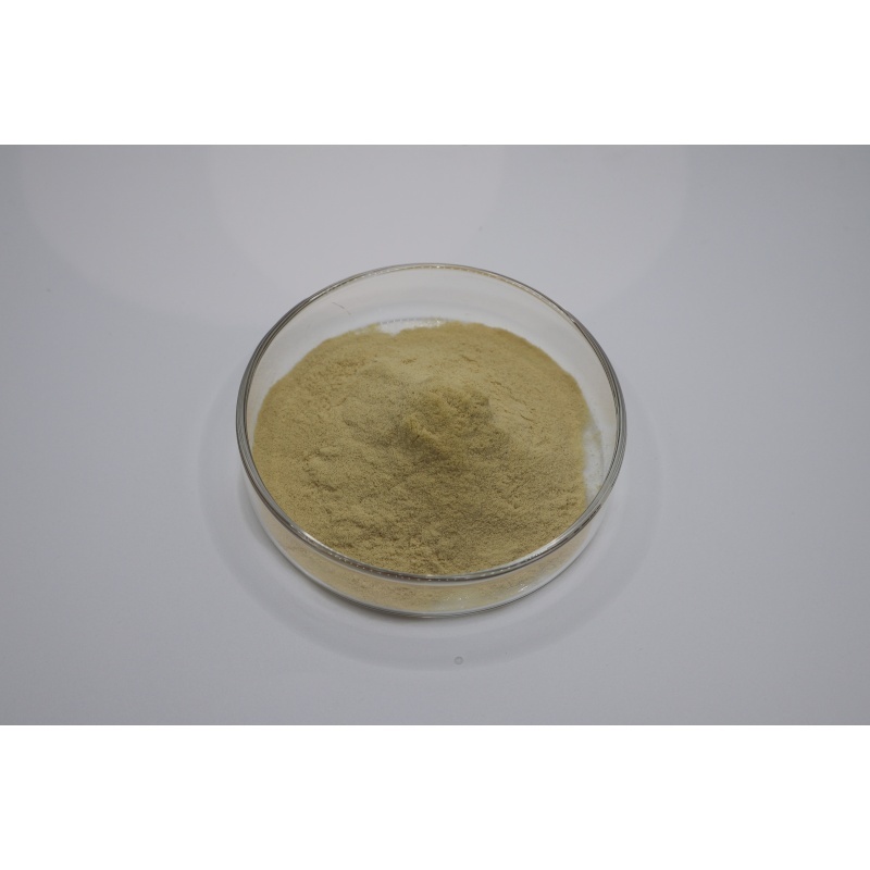 Jüngste Firmenblogs über From Fermentation to Quality Testing: A Technical Guide to Evaluating 90% Fertilizer Grade Amino Acid Powder