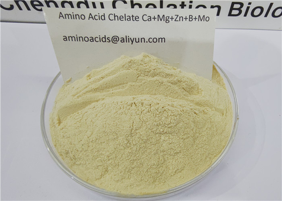 Aminosäure chelatierte Spurenelemente Calcium Magnesium Zink Bor Molybdän