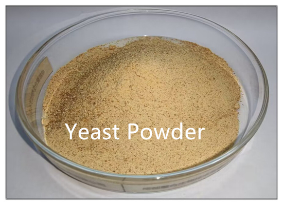 kaufen Futtermittelzusatzstoff Hefepulver Inaktiver Brauer Hefeprotein online manufacture