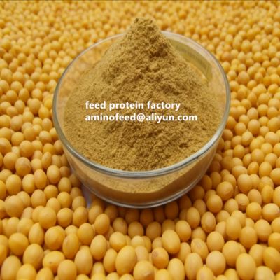 kaufen Non-GMO Soy Protein Concentrate with 50% Protein Highly Digestible for Poultry and Aquatic Animals online manufacture