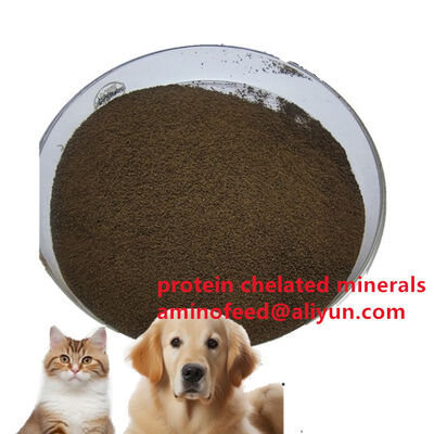 kaufen Futtermittelzusatzstoff Bakterielle Proteinpulver Tierprotein für Mycobacterialc Thailand Online-Herstellung
