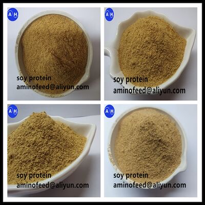 kaufen Nichtgenetisch veränderte (nicht gentechnisch veränderte) Sojabohnen-Proteinpulver mit Peptiden und freien Aminosäuren. Online-Herstellung