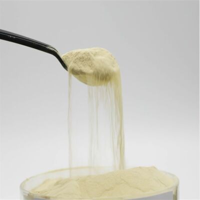 kaufen Maisprotein-Aminosäurepulver 85% freie Aminosäuren mit enzymatischem Hydrolyseverfahren und 100% wasserlöslich Online-Herstellung