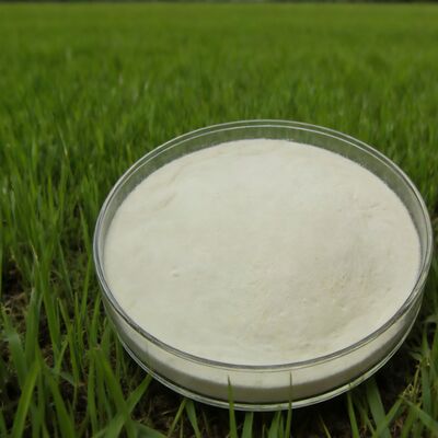 kaufen 85 % Mais-hydrolysiertes Aminosäurepulver in landwirtschaftlicher Düngemittelqualität Online-Herstellung