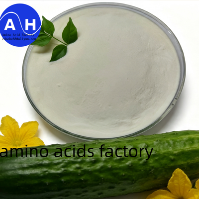 kaufen Maisprotein-Aminosäure 80% mit Deep-Hydrolyse-Technologie, 100% wasserlöslich und gentechnikfrei Online-Herstellung