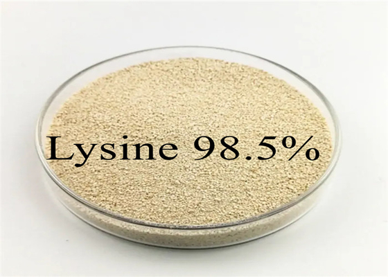 Viehbestand-Geflügel-Hühnerschwein-Tierfutter additives L HCL L-Lysin des Lysins 98,5%