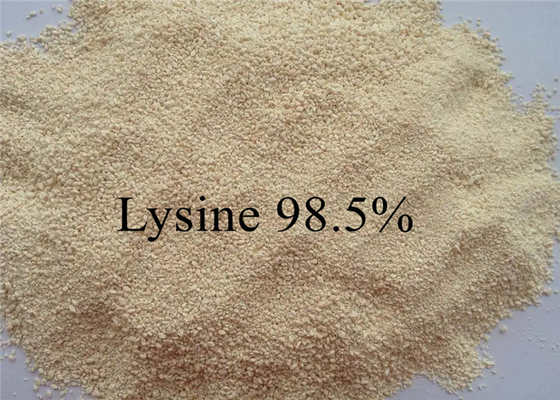 Aminosäure-Zufuhr-Grad-Lysin 99% für Tiergeflügel