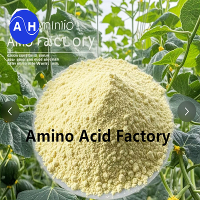 Pflanzliche Hydrolysaate, die reich an Peptiden und Aminosäuren sind, mit enzymatischem und Fermentationsverfahren