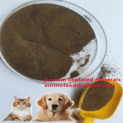 Tierische Protein Futtermittelart von Mykobakterien mit Rohprotein mehr als 70%