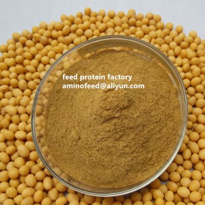 GVO-freies hydrolysiertes Sojamehl-Proteinpulver mit 50% Protein, hellgelbes Pulver als Fischmehlersatz